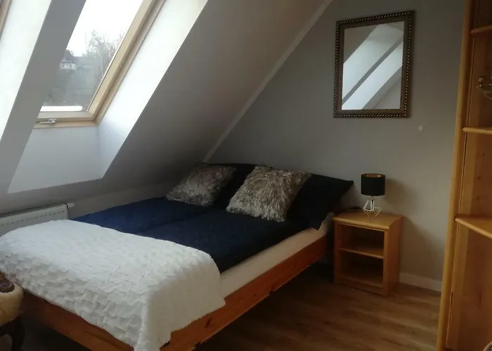 37 * פולניסה-ז'דוז'